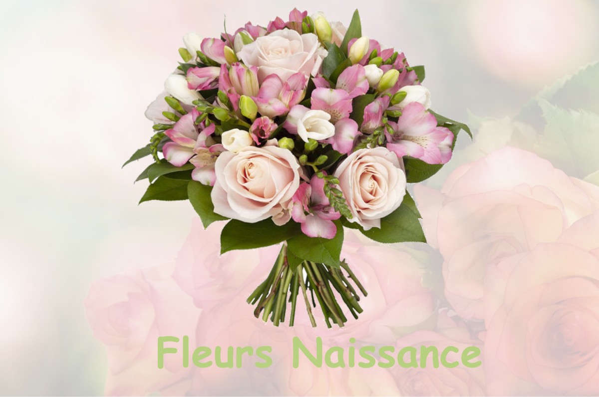 fleurs naissance CARCEN-PONSON