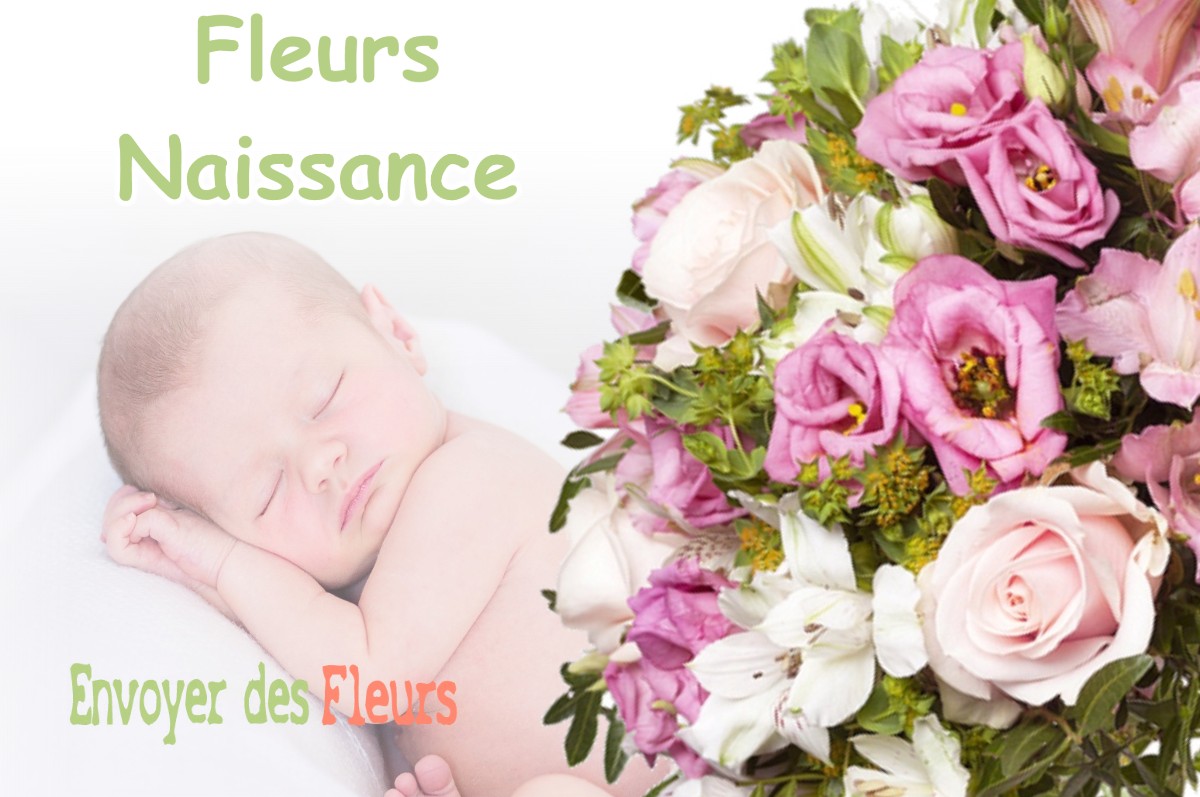 lIVRAISON FLEURS NAISSANCE à CARCEN-PONSON